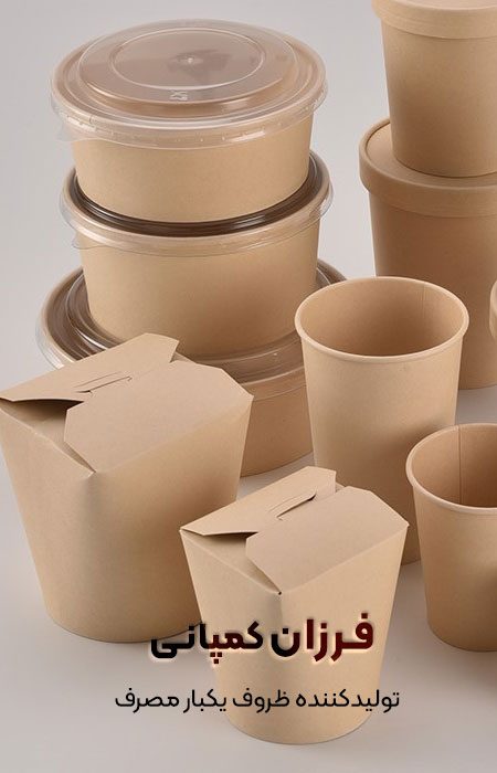 Disposable-paper-containers Disposable-paper-containers