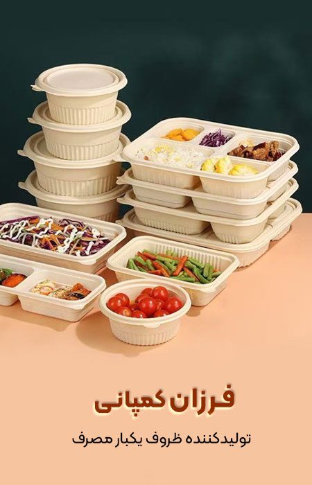 Disposable-vegetarian-containers Disposable-vegetarian-containers